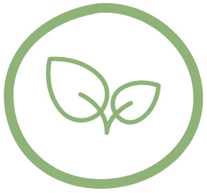 Logo Vegan | Envi-bio pâtes Konjac