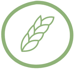 Logo riche en fibres | Envi-bio pâtes Konjac