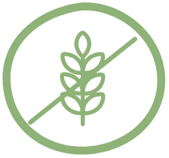Logo Sans gluten | Envi-bio pâtes Konjac